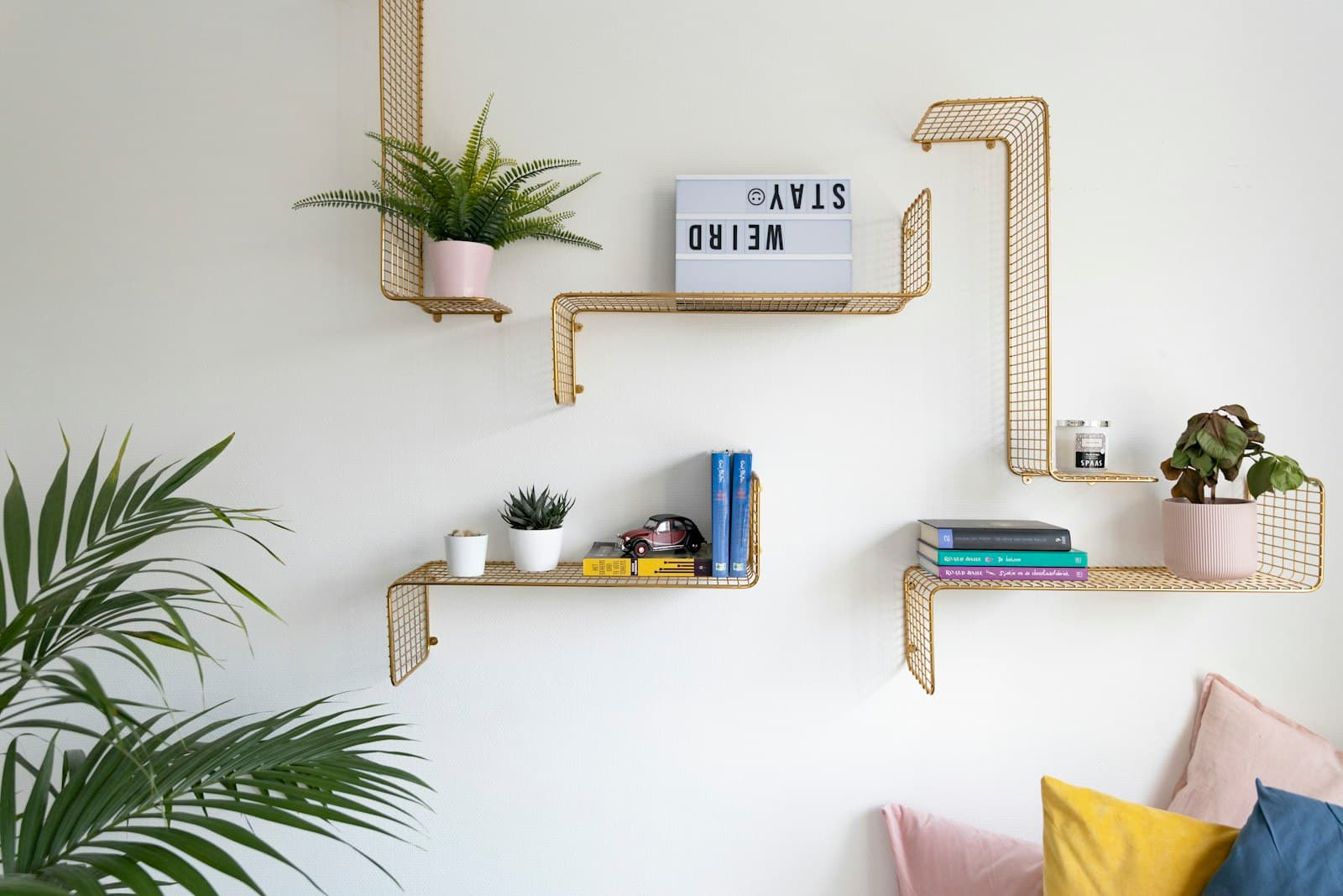 Brass wire shelves stepped across a white wall, holding potted plants, a few paperbacks and a lightbox sign.