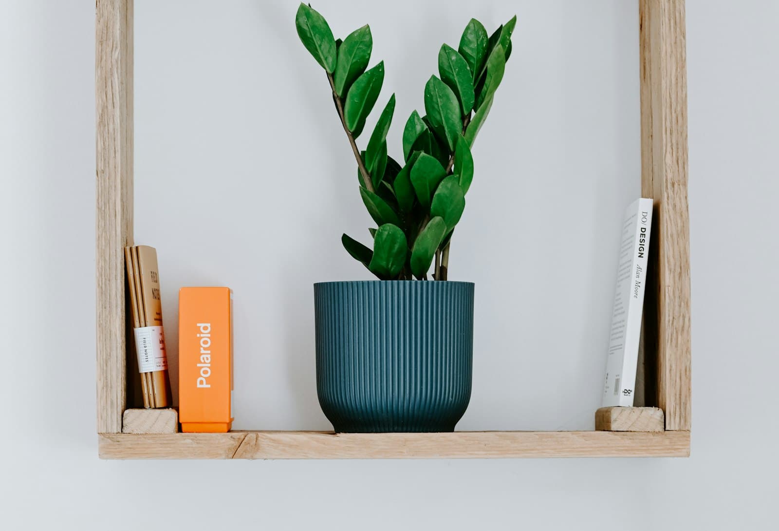 A plant in a ribbed blue pot on a wooden wall shelf, between a stack of notebooks and a design paperback.
